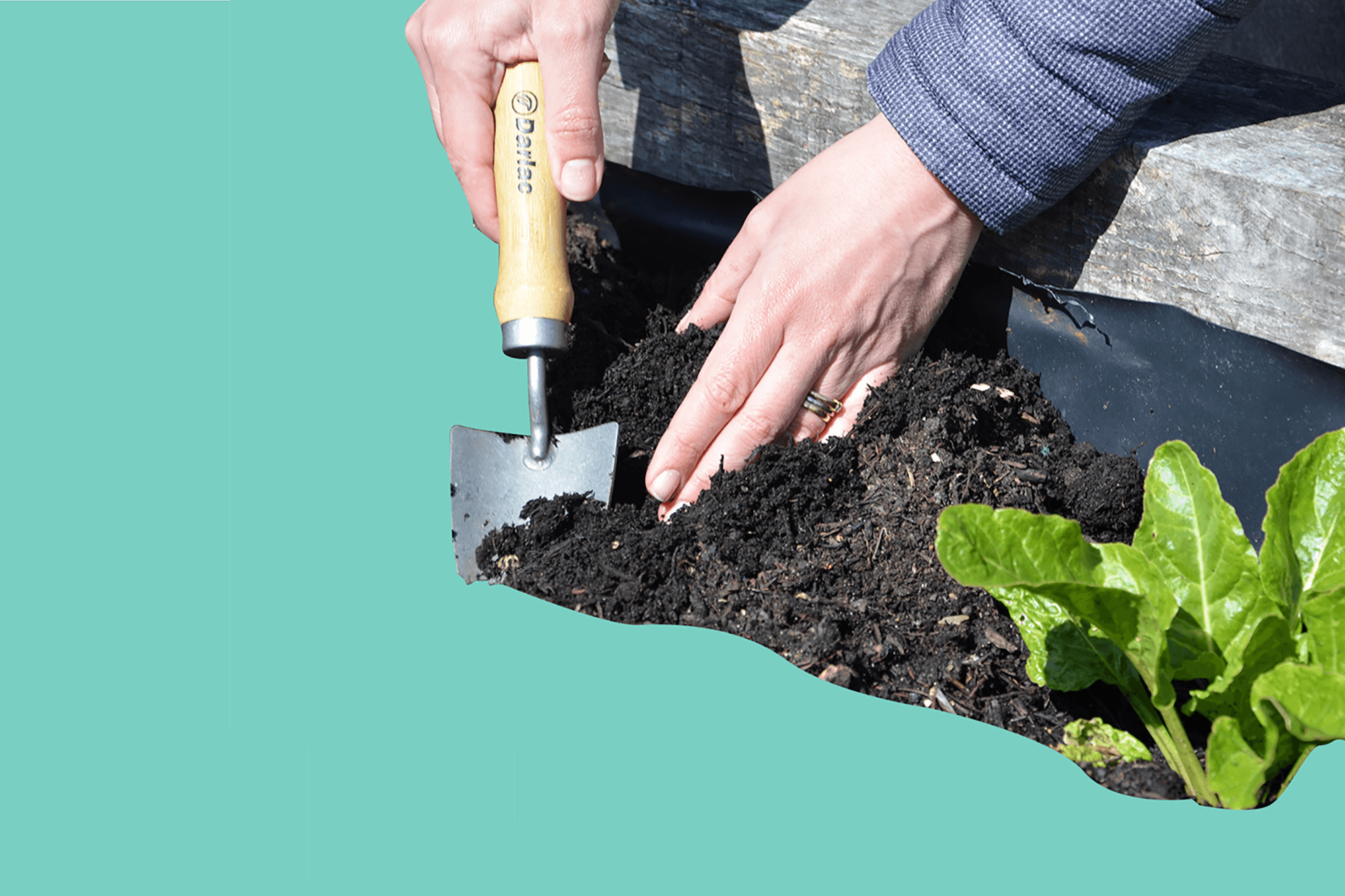 Hands digging in flower bed with a trowel against a pale blue background